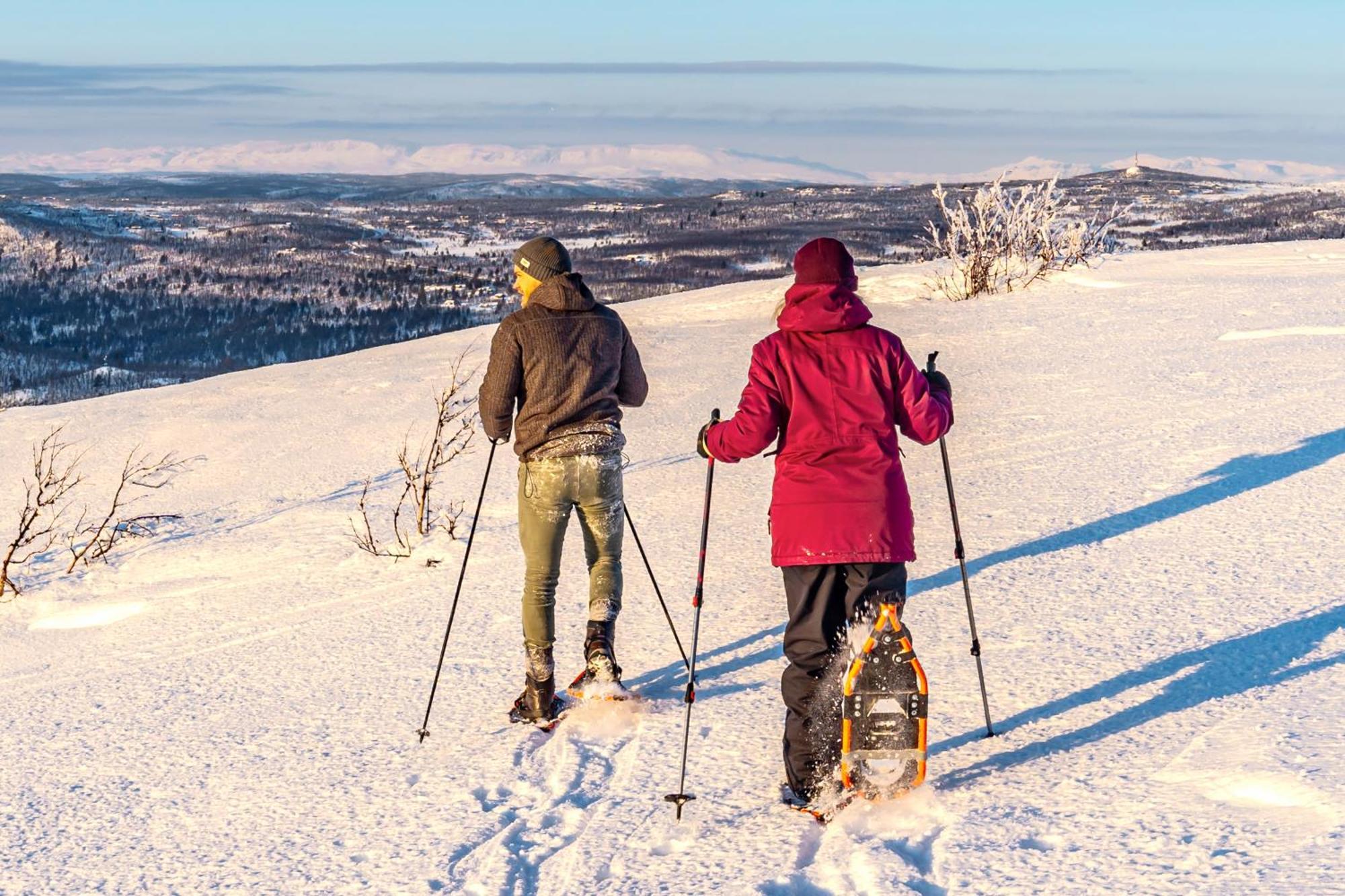 Active Adventure Base - Apartment & Lavvo, Dagali Fjellpark Экстерьер фото